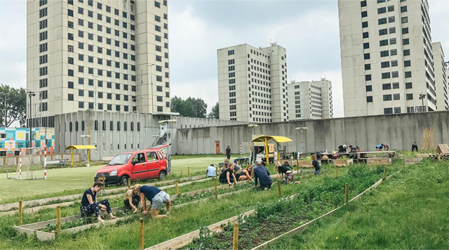 Barts-Boekje-stadsboeren